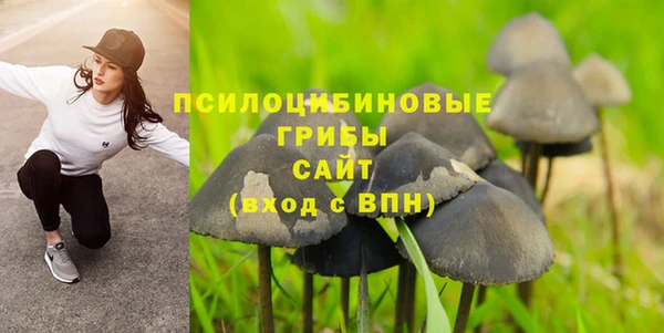 кокс Алексеевка