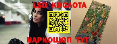 дмт Гай