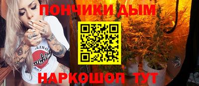 mdma Гатчина