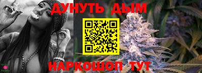 дмт Гай