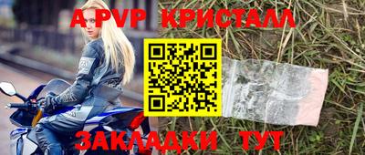 дмт Гай