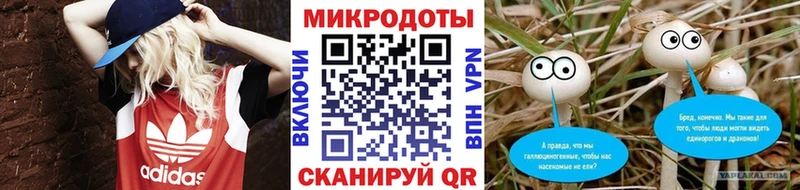 где купить   Кудрово  Галлюциногенные грибы GOLDEN TEACHER 