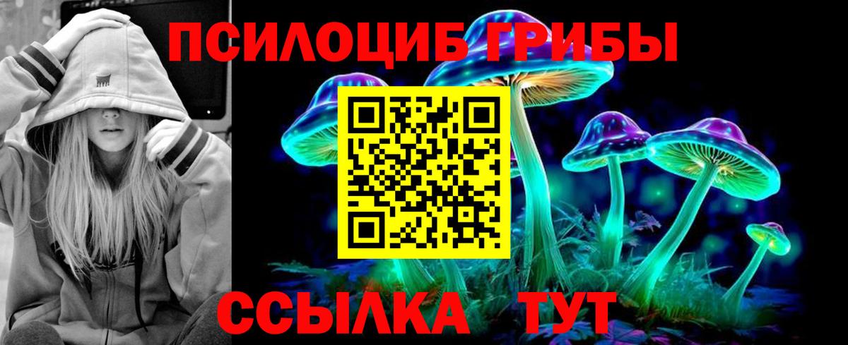 Псилоцибиновые грибы мухоморы  Вход с VPN  Кудрово 